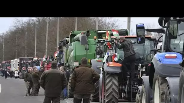 Colère des agriculteurs à travers l'Europe : la mobilisation se poursuit