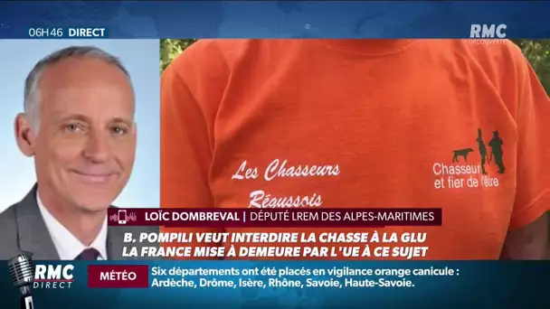 Chasse à la glu: la ministre Barbara Pompili veut l’interdire, les chasseurs sont en colère