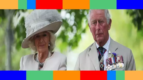 Interview de Meghan et Harry : Camilla l’a regardée, contrairement à Charles…