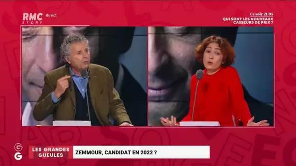 Gilles-William Goldnadel : "Je suis opposé à l'immigration illégale et invasive !"