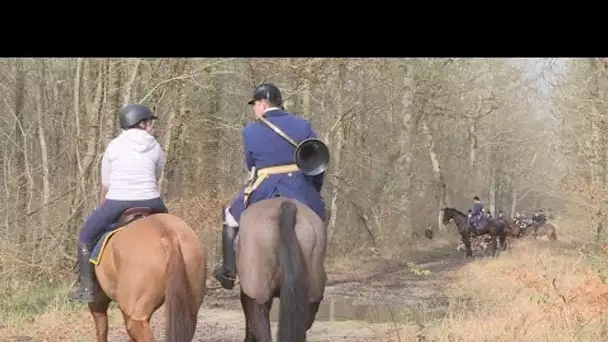 En France, le fossé se creuse entre les pro et anti-chasse