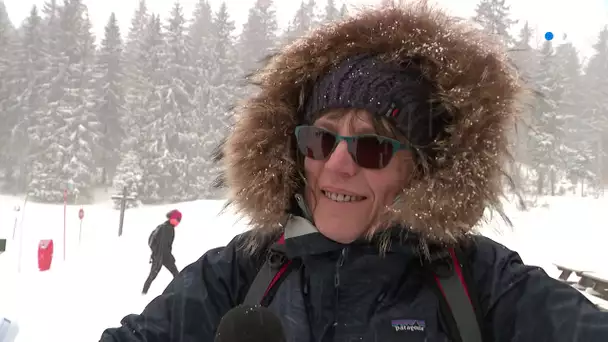 La neige de retour sur les pistes de ski nordique et alpin