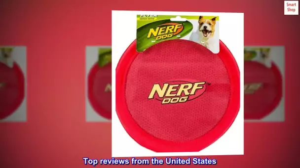 Nerf Dog Nylon Flyer Dog Toy, Frisbee, Lightweight, Durable and Water Resistant, Great for Beach