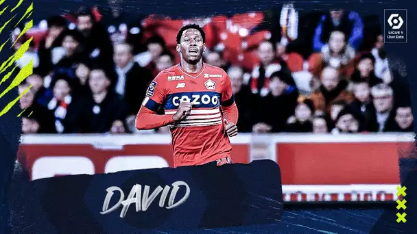 La Compil' de la J19 - Jonathan DAVID (LOSC - ESTAC)