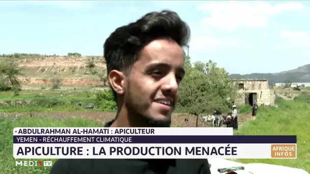 Apiculture au Yémen : la production menacée