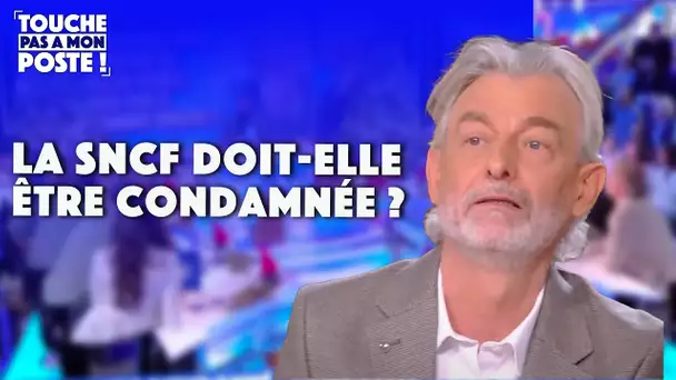 Chat écrasé par un train : La SNCF doit-elle être condamnée ?