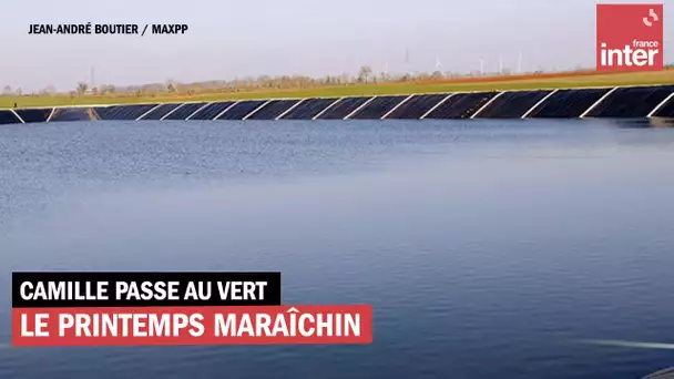 Le printemps maraîchin