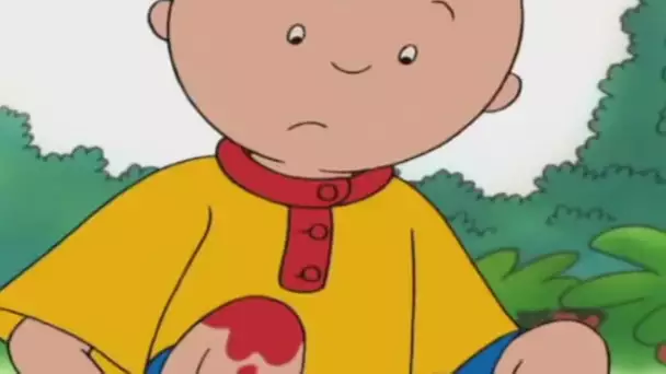 LIVE Caillou FRANÇAIS - Caillou cueille des fraises | conte pour enfant | dessin animé en entier