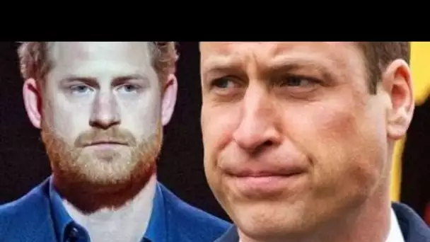 Le tournant de la relation entre Harry et William identifié: "Il est devenu balistique"