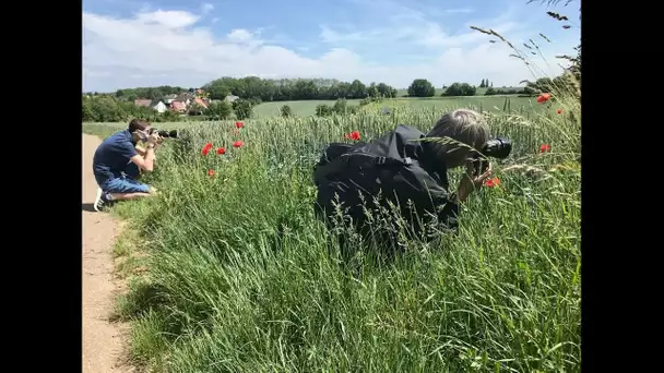 Déconfinement - Dingsheim : la timide reprise des activités des associations