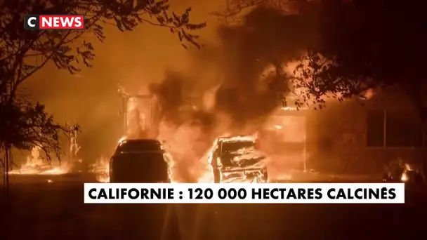 Californie : 120 000 hectares calcinés