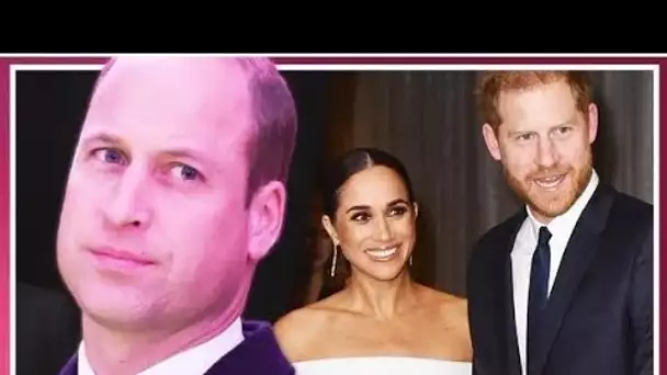 Le prince William "horrifié" par le fait qu'Harry "utilise" la mémoire de Diana avec le clip Panoram