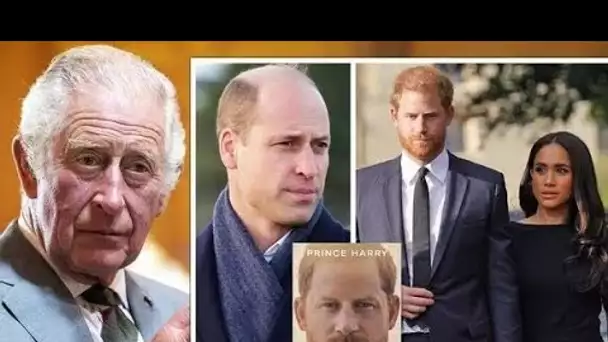 Les 10 moments les plus explosifs des mémoires explosives du prince Harry