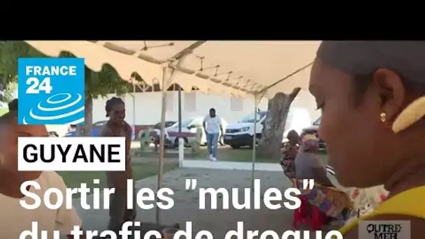 Guyane : un programme pour sortir des "mules" du trafic de drogue • FRANCE 24