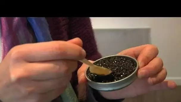 Le caviar de Gironde, un des plus réputés en France