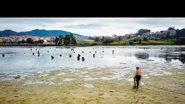 L'égalité hommes-femmes doit encore progresser dans la pêche et l'aquaculture européennes