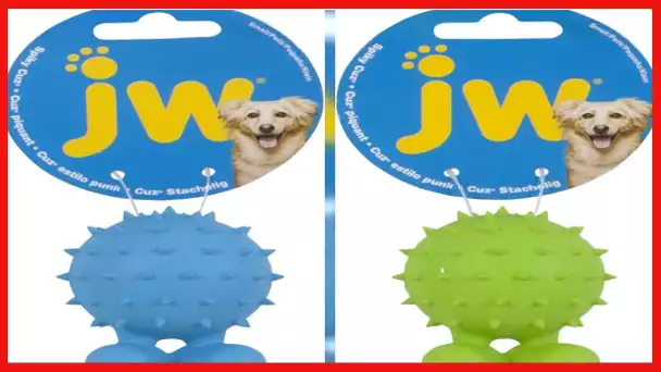 JW Pet Spiky Cuz Assistant Toy, Small, Multicolor,31302