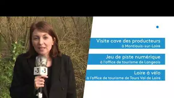 Artannes-sur-Indre : une randonnée en famille a cote de Tours et autres idées...