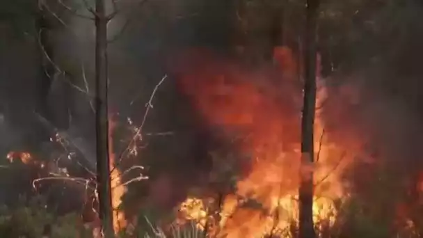 France : "la superficie des incendies n'a pas évolué" • FRANCE 24