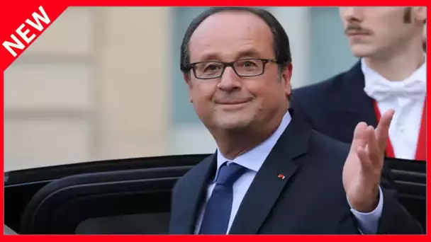 ✅  François Hollande « maladroit » lors de ses déplacements ? Il se défend