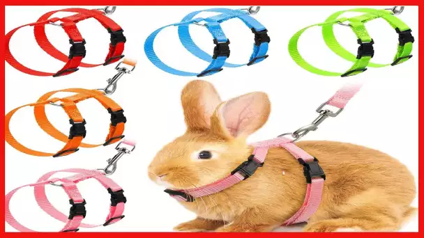 5 Pieces Adjustable Rabbit Harness Leash Bunny Harness Leash, Harness Leash for Pet Safety Walk