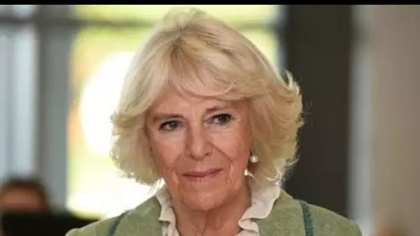 Camilla n'est "pas si populaire" à l'étranger et a le "fantôme de Diana" au-dessus d'elle, selon un