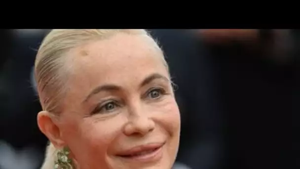 PHOTO Emmanuelle Béart : l'actrice en liesse pour son 58e anniversaire