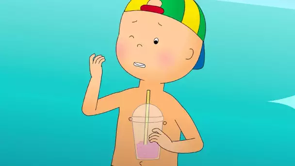 Caillou et les Vacances à la Mer | Caillou en Français