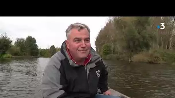 Limitation de vitesse pour les bateaux sur le marais Audomarois