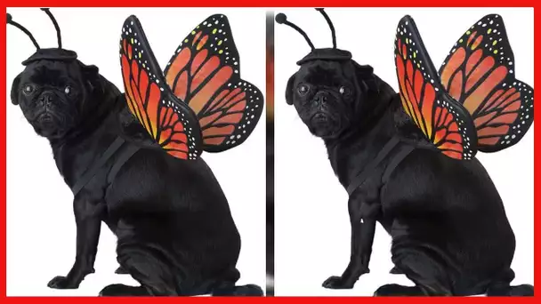 California Costumes Pet Monarch Butterfly Dog Costume Costume