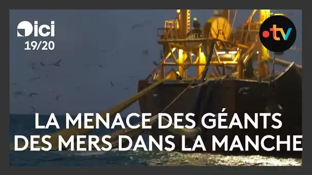 Les géants des mers, une menace pour les pêcheurs du littoral