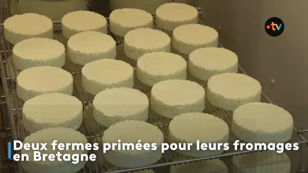 Deux fermes primées pour leurs fromages en Bretagne