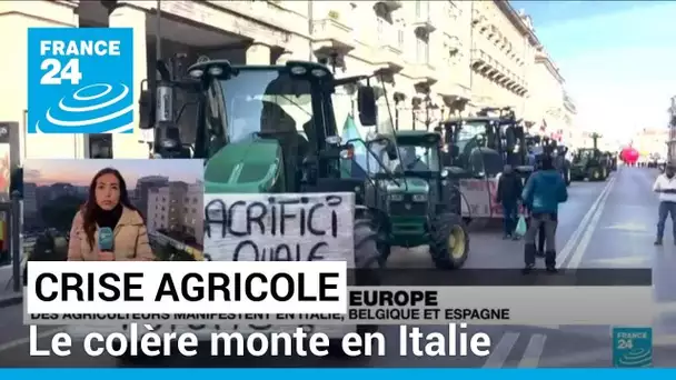 Crise agricole : en Italie, "une montée en puissance" du mouvement • FRANCE 24