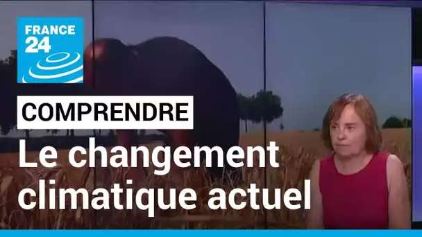 Sécheresse en France : comment expliquer le changement climatique actuel ? • FRANCE 24