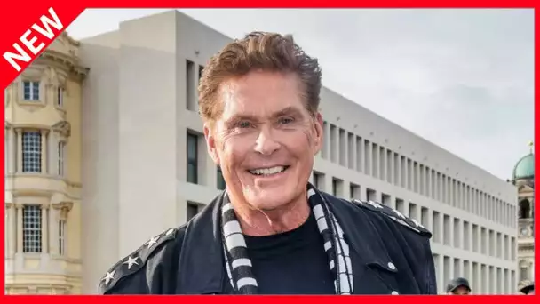 ✅  Que devient David Hasselhoff d'Alerte à Malibu ?