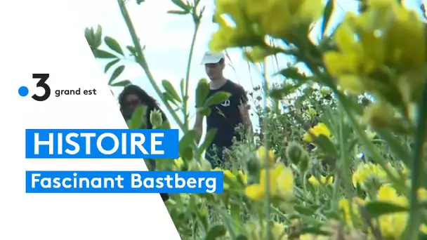 Le Bastberg à Bouxwiller, entre science et légendes