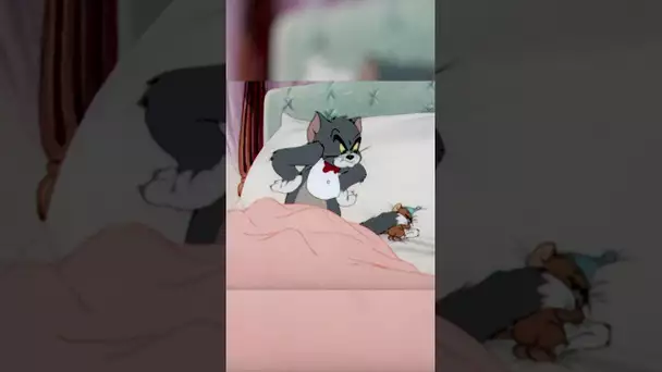 Un intrus dans le lit... #shorts #tometjerry @cartoonnetworkFR