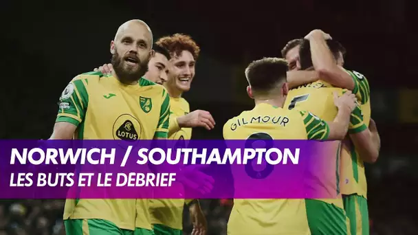 Les buts de Norwich / Southampton - Premier League - J12