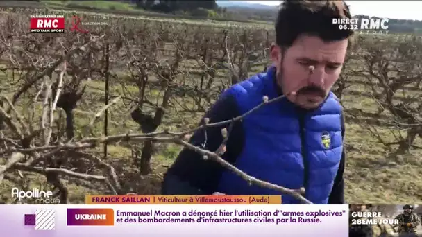 L'industrie viticole lourdement impactée par la guerre en Ukraine