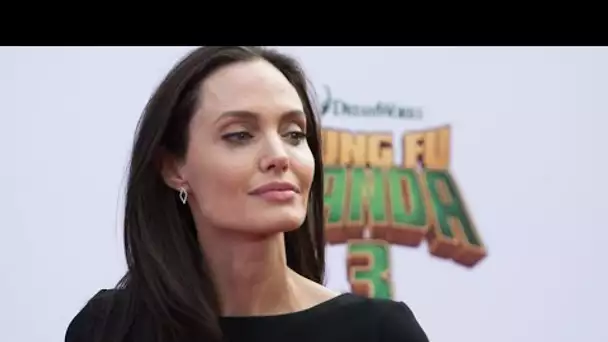 Coronavirus: Angelina Jolie en appelle au Congrès pour que "moins d'enfants aillent au...