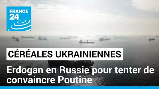 Exportations de céréales ukrainiennes : Erdogan en Russie pour tenter de convaincre Poutine