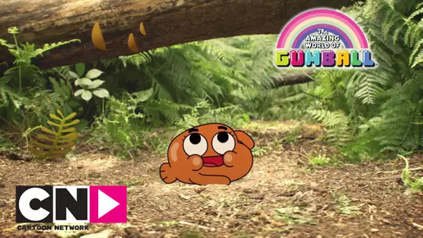 ♬ Sur le chemin ♪, la chanson de Darwin | Le Monde Incroyable de Gumball | Cartoon Network