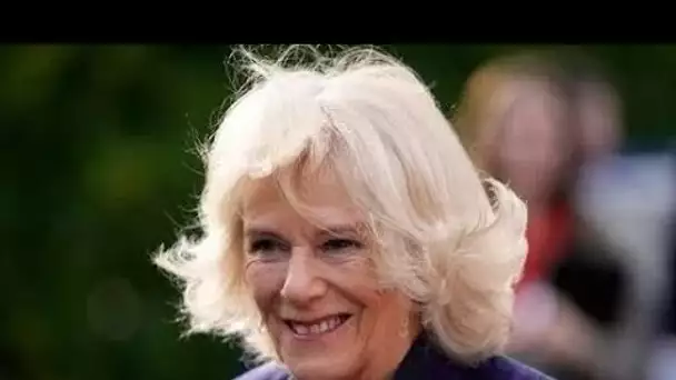 Le chemin de Camilla pour devenir reine dévoilé - que réserve la duchesse ?