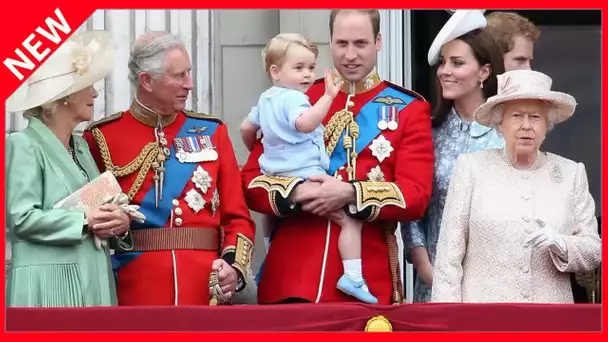 ✅  Elizabeth II appelle les Britanniques à l’unité : un message subliminal à William et Harry ?