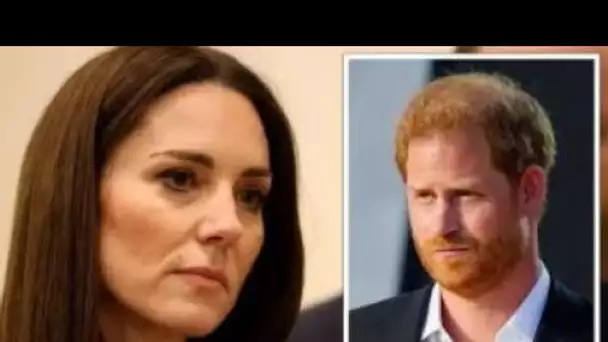 Livre du prince Harry: Kate pourrait être «manquée de respect» par Duke en raison des inquiétudes su