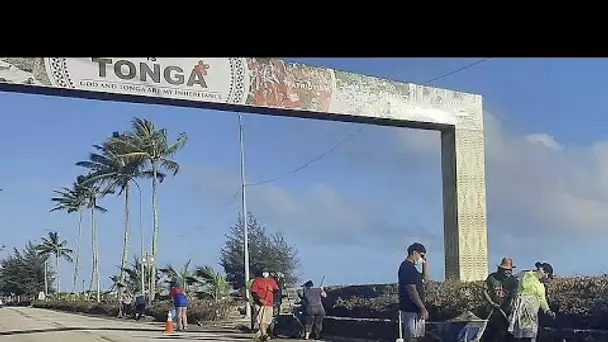 L'éruption du volcan aux îles Tonga : des conséquences désastreuses pour le secteur agricole