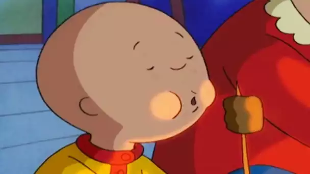 Caillou et les Chamallows Grillés | Caillou en Français