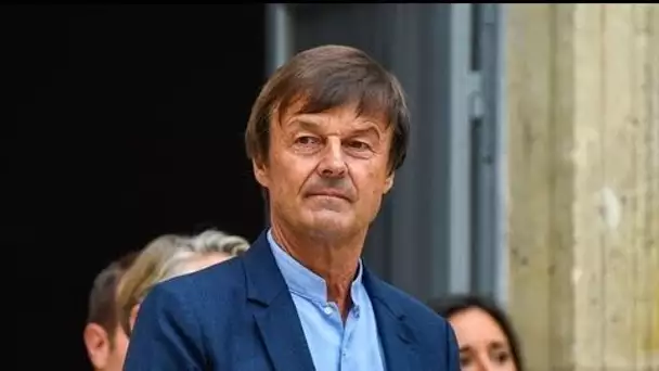 Nicolas Hulot dans la tourmente : ce jour où il a trébuché sur le corps sans vie de...