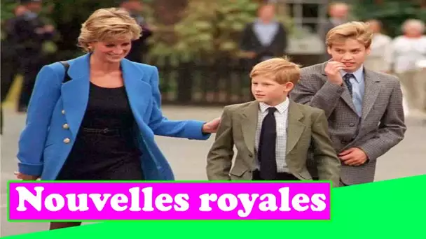 Diana a fait promettre à William et Harry d'être toujours les meilleurs amis, selon l'auteur