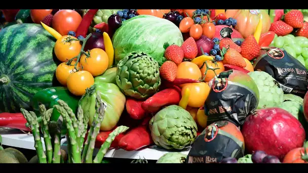 Les légumes oubliés… des nazis !